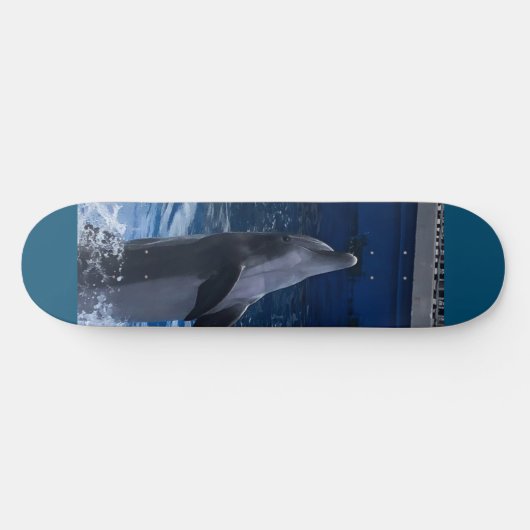 Dolphin Skateboard (Horizontal)