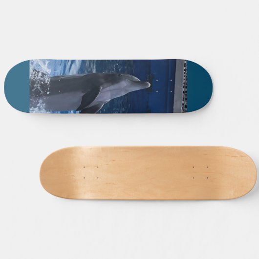 Dolphin Skateboard (Horizontal)