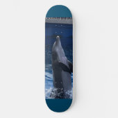 Dolphin Skateboard (Vorderseite)