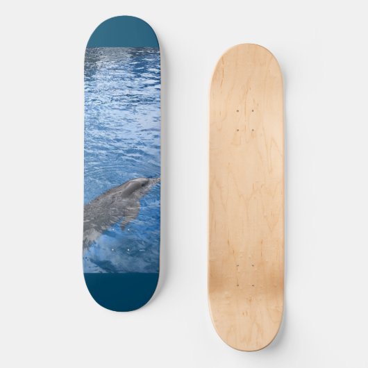 Dolphin Skateboard (Vorderseite)