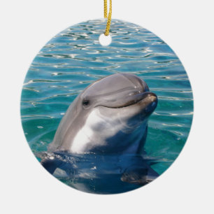 Dolphin Smile, personalisieren wie gewünscht Keramikornament