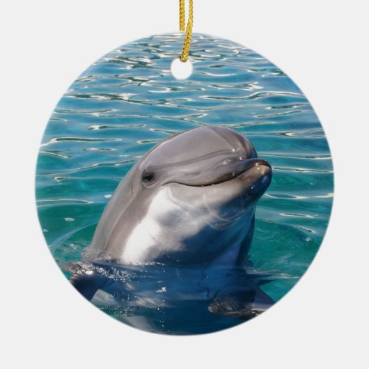 Dolphin Smile, personalisieren wie gewünscht Keramikornament (Vorne)