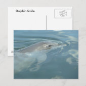 Dolphin Smile Postkarte (Vorne/Hinten)