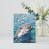 Dolphin Smile Postkarte (Stehend Vorderseite)