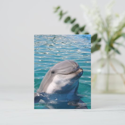 Dolphin Smile Postkarte (Stehend Vorderseite)
