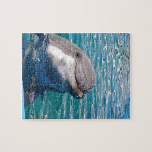 Dolphin Smile Puzzle (Horizontal)