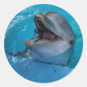 Dolphin Smile Sticker (Vorderseite)
