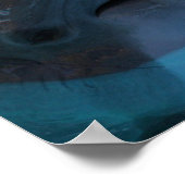 Dolphin Smiles Poster (Ecke)