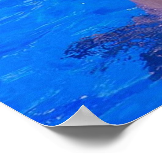 Dolphin Smiles Poster (Ecke)