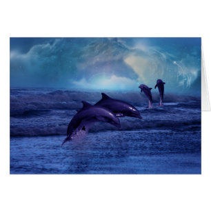 Dolphin Spaß und Spiel