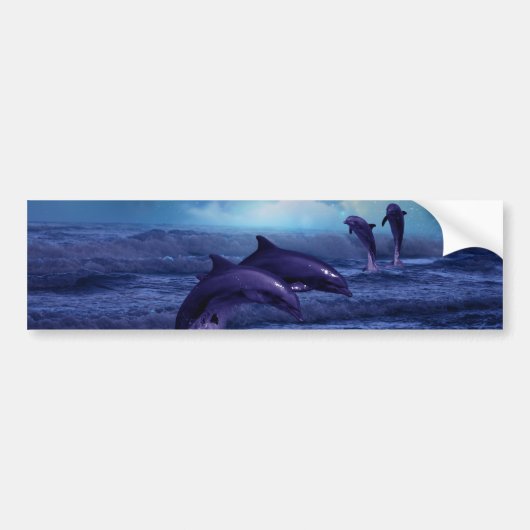 Dolphin Spaß und Spiel Autoaufkleber (Vorne)