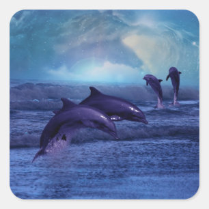 Dolphin Spaß und Spiel Quadratischer Aufkleber