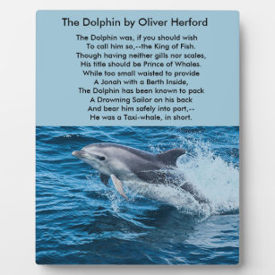 Dolphin Splashing Fotoplatte