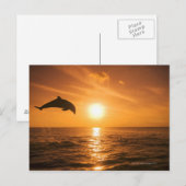 Dolphin-Springling Postkarte (Vorne/Hinten)