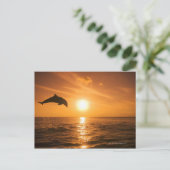 Dolphin-Springling Postkarte (Stehend Vorderseite)