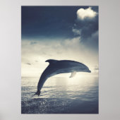 Dolphin springt aus Wasserkunst Poster (Vorne)