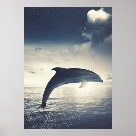 Dolphin springt aus Wasserkunst Poster (Vorne)