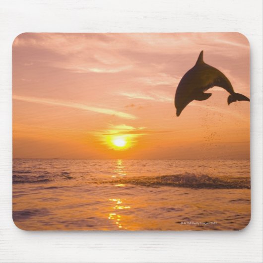 Dolphin-Sprung 2 Mousepad (Vorne)