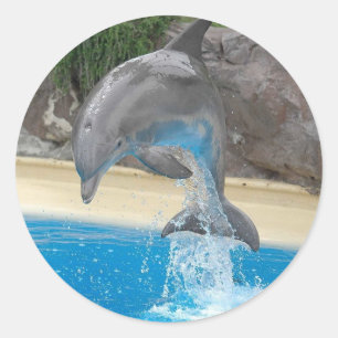 Dolphin-Sticker Runder Aufkleber