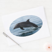Dolphin Stickers (Umschlag)