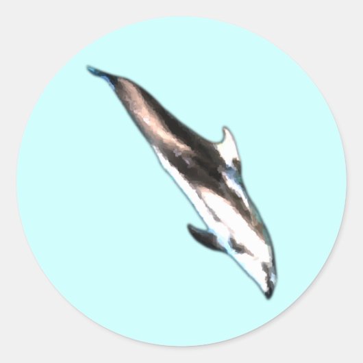 Dolphin Stickers (Vorderseite)