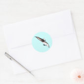 Dolphin Stickers (Umschlag)