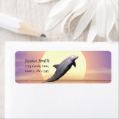 Dolphin Sun (Insitu)