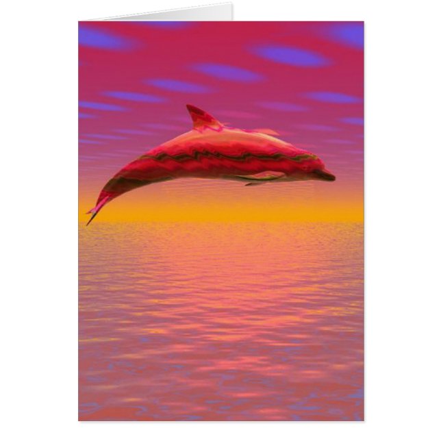 Dolphin Sunset (Vorne)