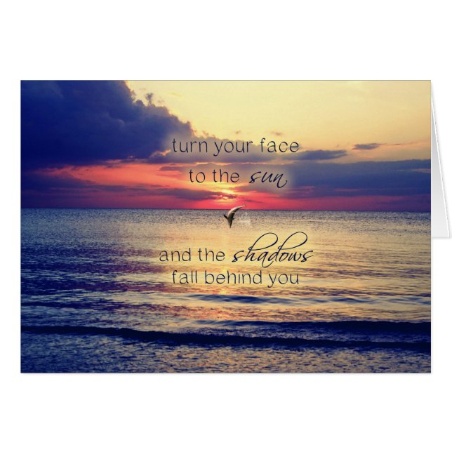 Dolphin Sunset (Vorderseite (Horizontal))