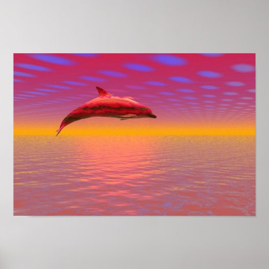 Dolphin Sunset Poster (Vorne)