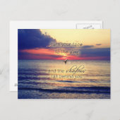 Dolphin Sunset Postkarte (Vorne/Hinten)