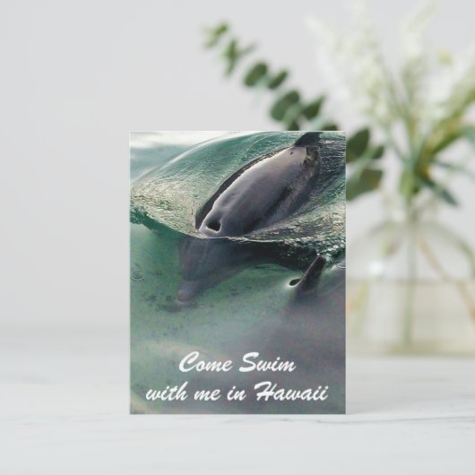 Dolphin Swim Hawaii Big Island Postkarte (Stehend Vorderseite)