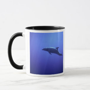 Dolphin Tasse
