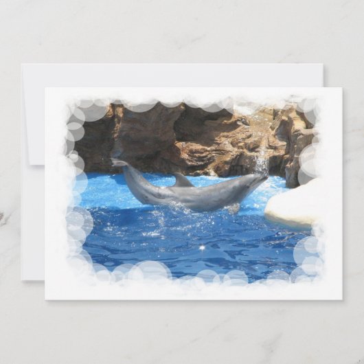 Dolphin Tricks Einladung (Vorderseite)