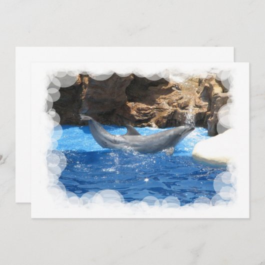 Dolphin Tricks Einladung (Vorne/Hinten)