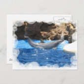 Dolphin Tricks Postkarte (Vorne/Hinten)