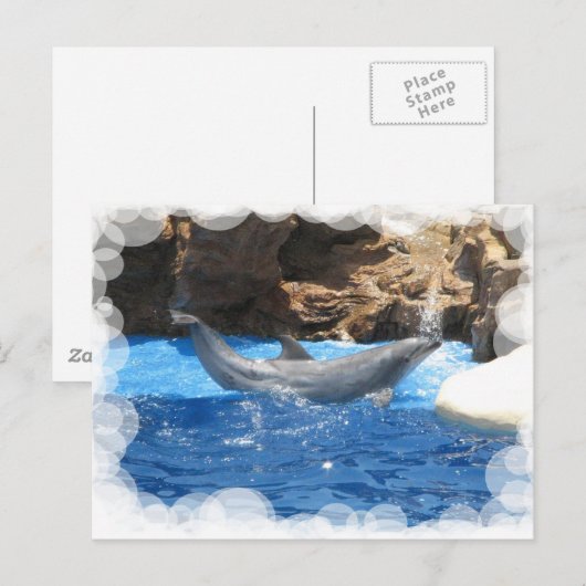Dolphin Tricks Postkarte (Vorne/Hinten)