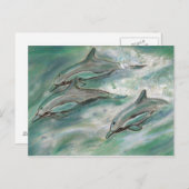 Dolphin Trio - Postkarte (Vorne/Hinten)