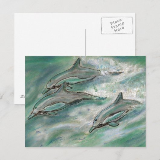 Dolphin Trio - Postkarte (Vorne/Hinten)