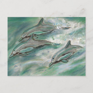 Dolphin Trio - Postkarte
