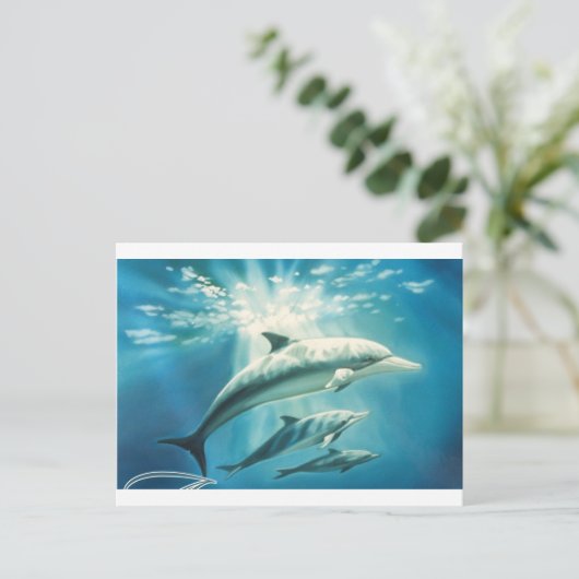 Dolphin Trio Postkarte (Stehend Vorderseite)