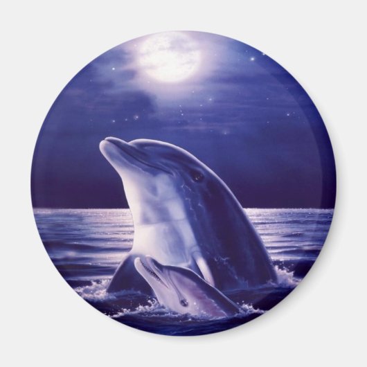 Dolphin und Baby Magnet (Vorne)
