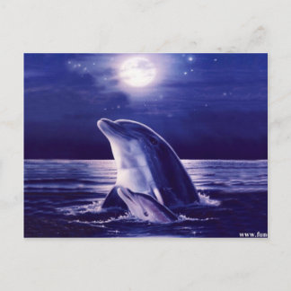 Dolphin und Baby Postkarte