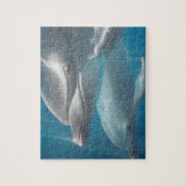 Dolphin und Baby Puzzle (Vertikal)