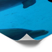 Dolphin- und Ozeanposter "Nie aufhören zu überlege Poster (Ecke)