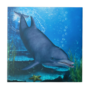 Dolphin Underwater Fliese