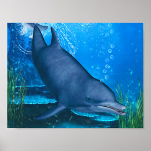 Dolphin Underwater Poster