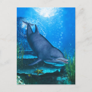 Dolphin Underwater Postkarte