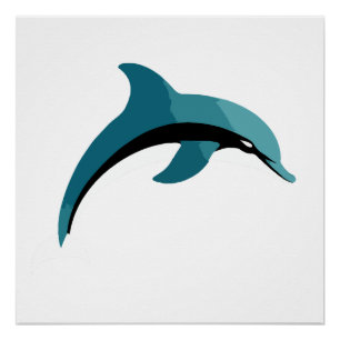 Dolphin Vector Art Animal Modern Urban Graphic Poster