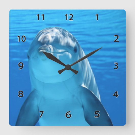 Dolphin Wall Clock Quadratische Wanduhr (Vorderseite)